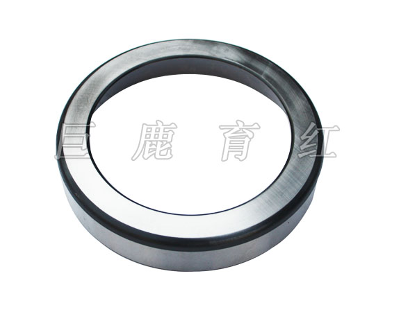 TR50 Differential bearing inner ring 00456471 TR50 Differential bearing inner ring 00456471